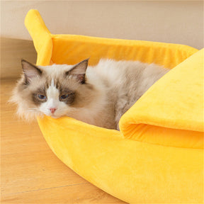 Cama Banana Bunch